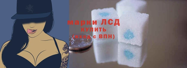 мяу мяу мука Дмитров