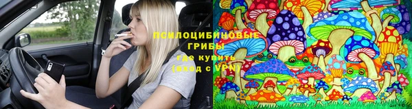 экстази Дмитриев